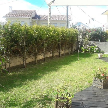 Apartamento Con Jardin Lira  エクステリア 写真