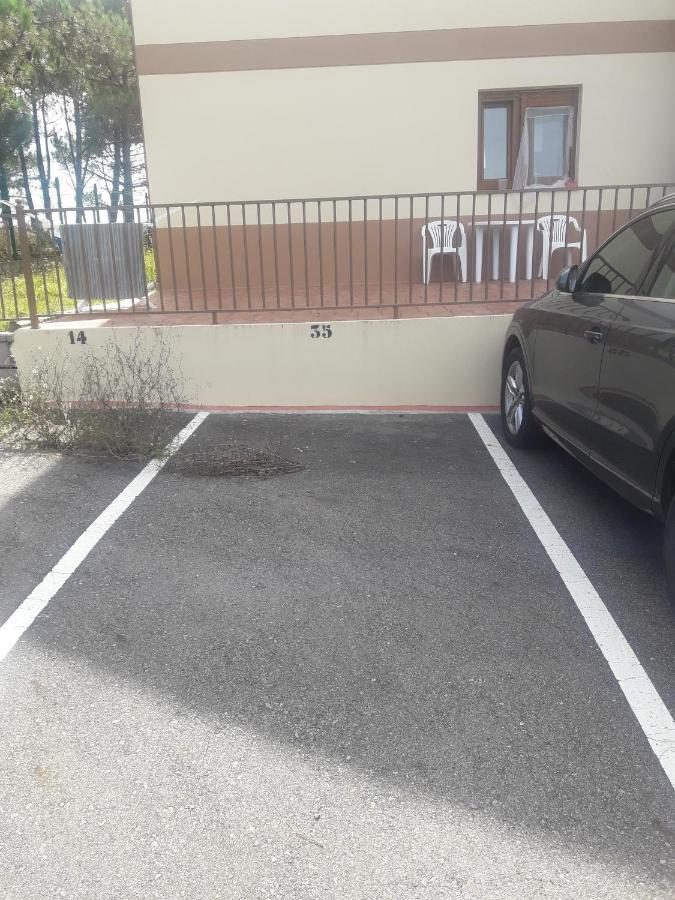 Apartamento Con Jardin Lira  エクステリア 写真